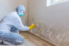 Best Mold Prevention Services in Denison, TX