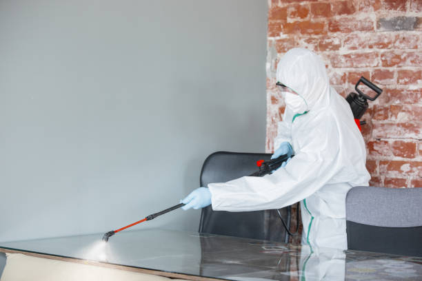 Best Crawl Space Mold Remediation in Denison, TX