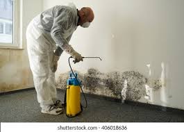 Best Biohazard Mold Removal in Denison, TX